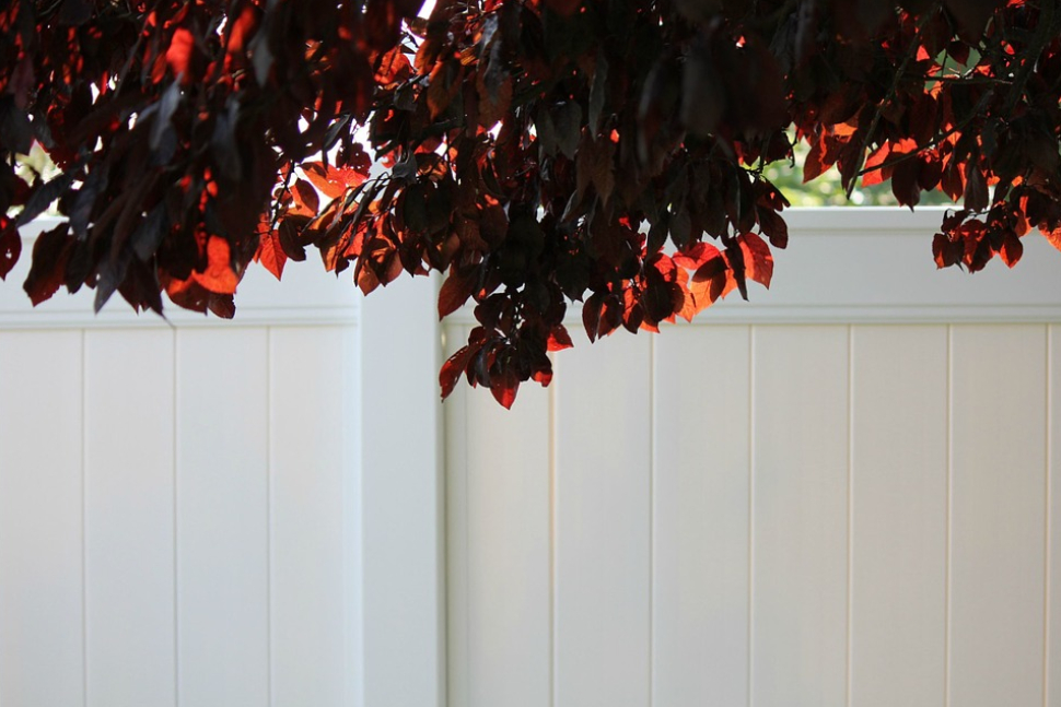 this image shows vinyl fence in Granite Bay, California