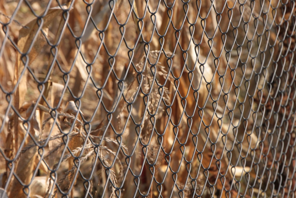 this is a picture of chain link fence in Granite Bay, CA